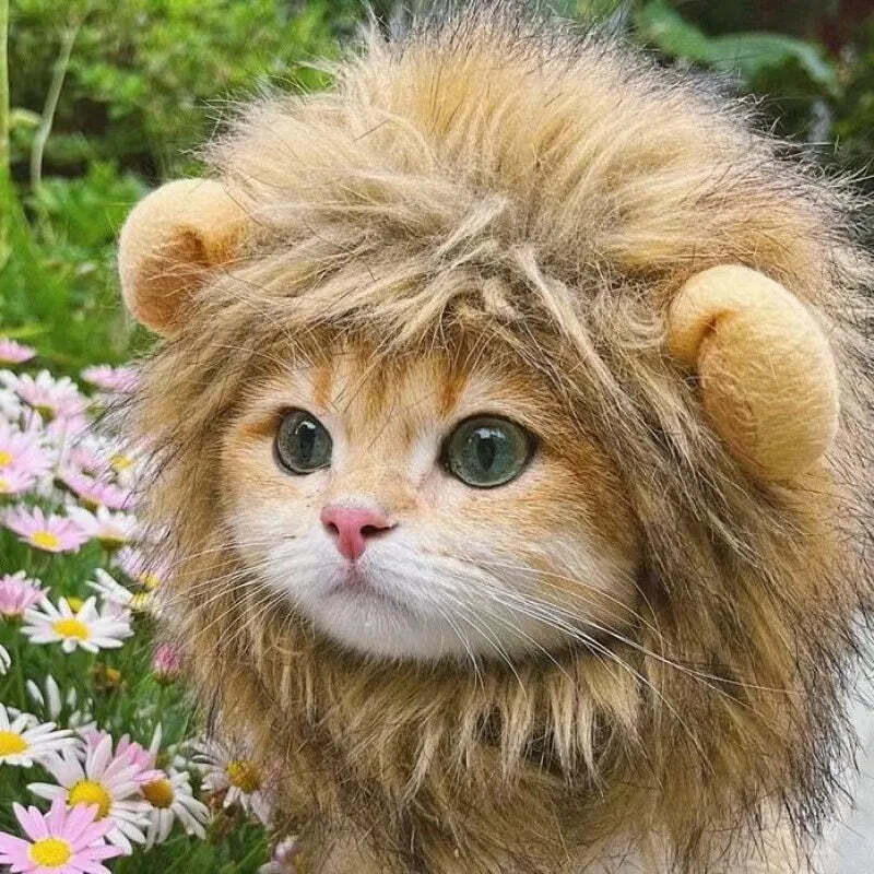 Lion Mane Hat for cats and small dogs