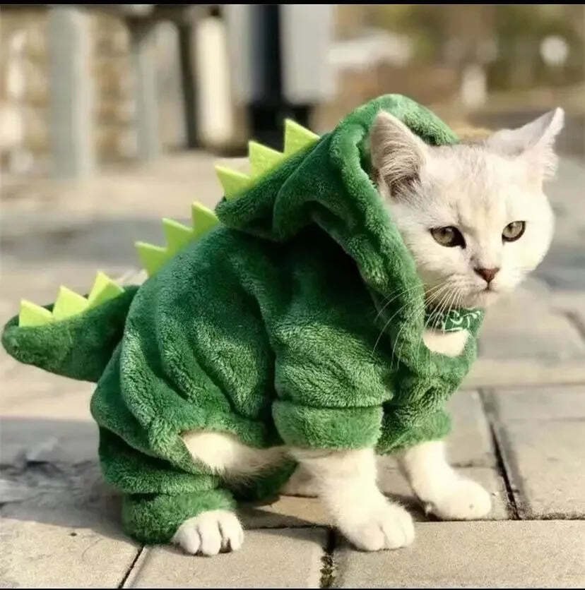 Dinosaur Fleece Hoodie for dogs and cats