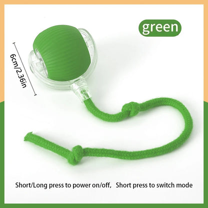 Rechargeable bouncing ball for dogs and cats