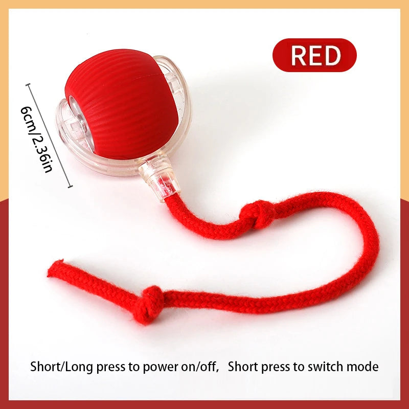 Rechargeable bouncing ball for dogs and cats