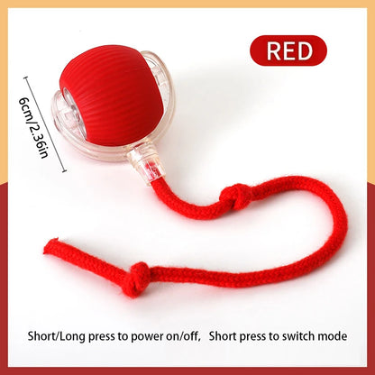 Rechargeable bouncing ball for dogs and cats