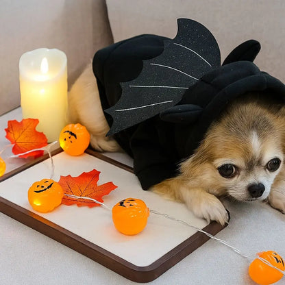 Black bat hoodie costume with wings for a dog or cat