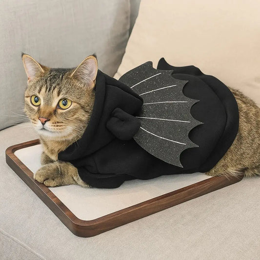 Black bat hoodie costume with wings for a dog or cat