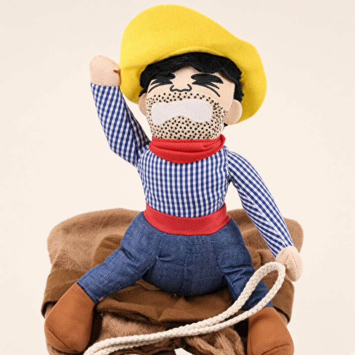 Cowboy Rider Costume for dogs