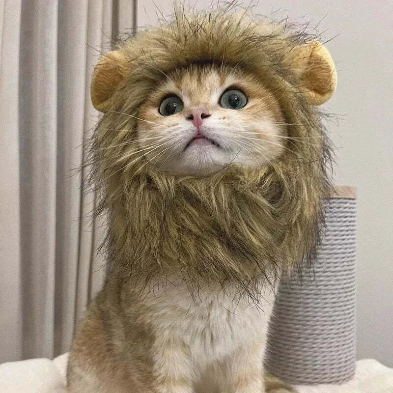 Lion Mane Hat for cats and small dogs