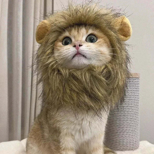 Lion Mane Hat for cats and small dogs